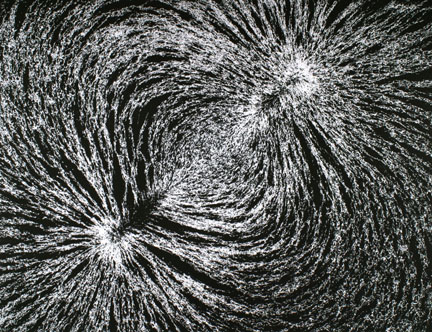 Magnetic Field, from 